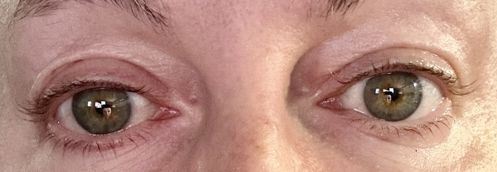 What colour would you say DD's eyes are?