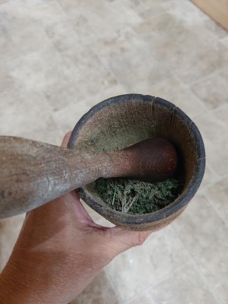 Any Witches Here?- Part 18