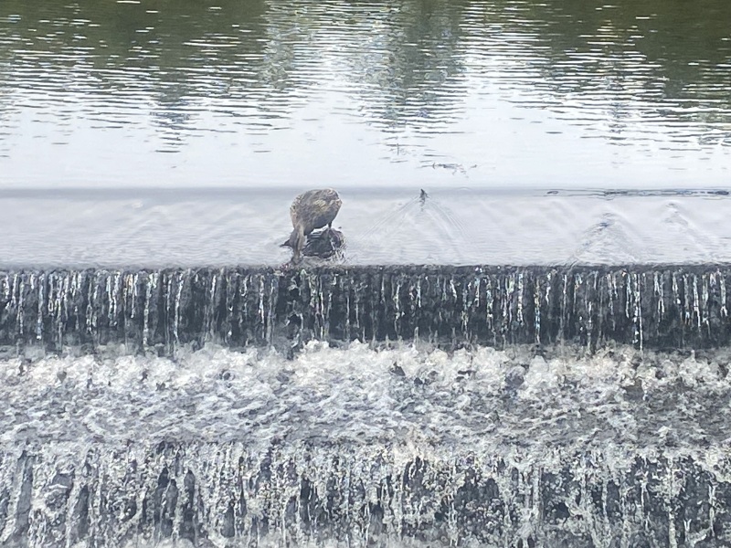 Come and tell me your dull and unexciting news 25: Calmly through the day 