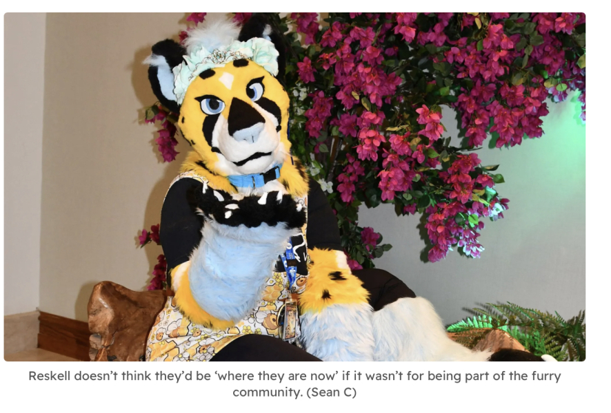 Furries widely accepted by lgbtq community according to this article. Are they represented in the new flag? 