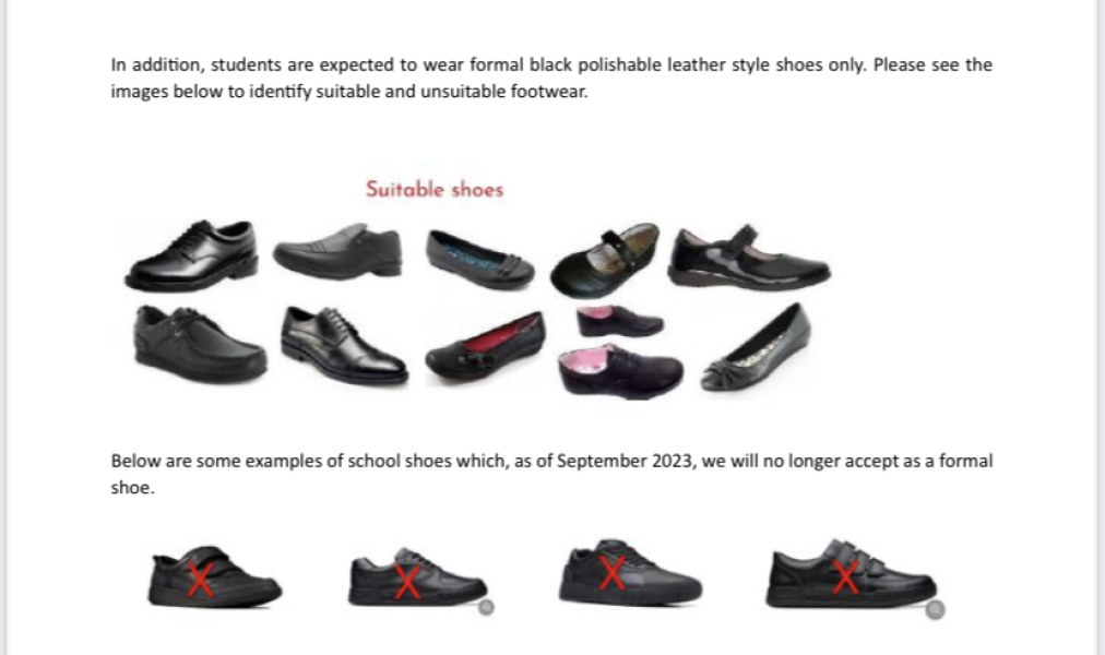So are these school shoes or trainers 