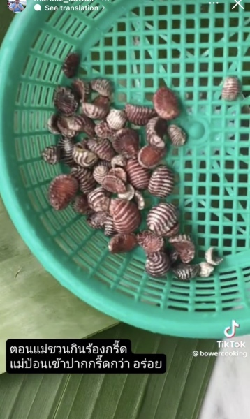 Thread 7 - TalkLair: “In fact it’s an oblate spheroid”