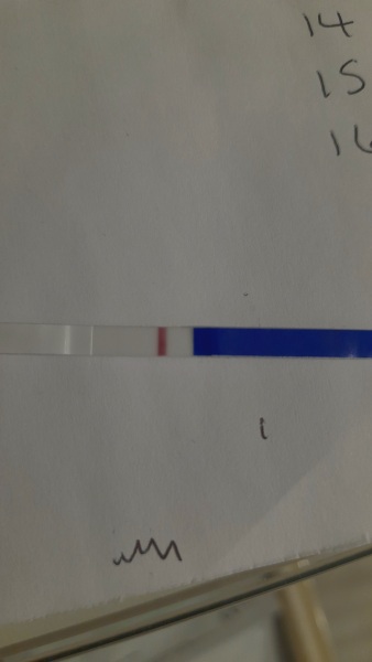 Bfp? Vvvf... line eyes help