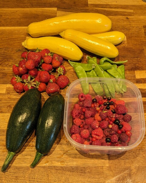 The Vegetable Patch Mark 2