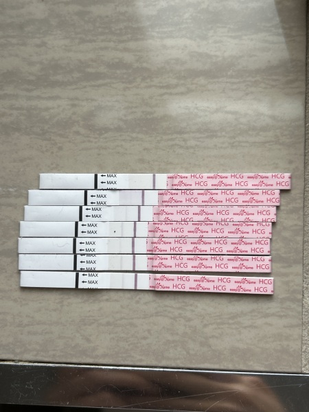 Evap lines?