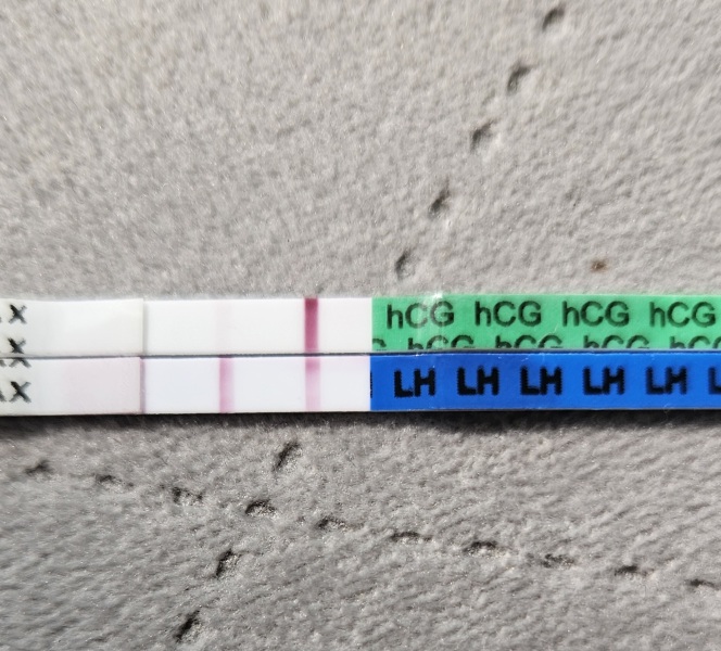 TTC May 2023 💖✨ previous MC March 2023