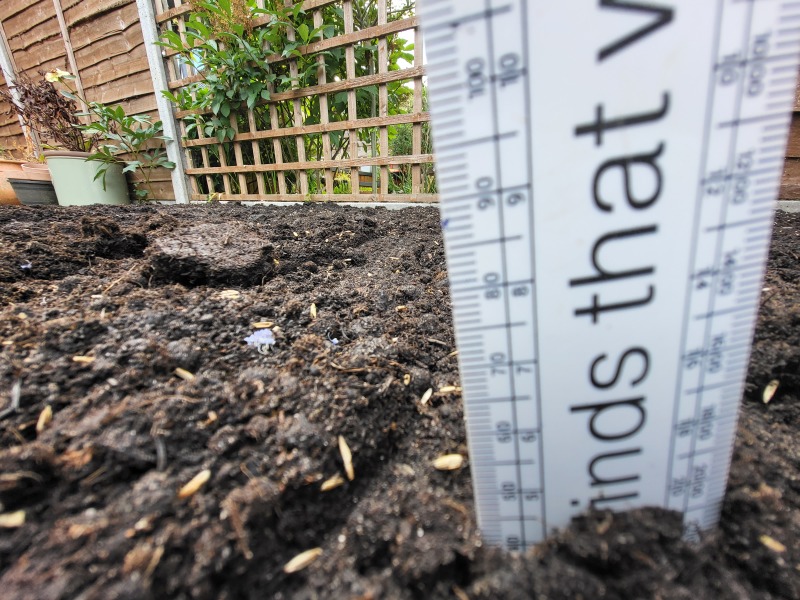 Artificial grass - help!