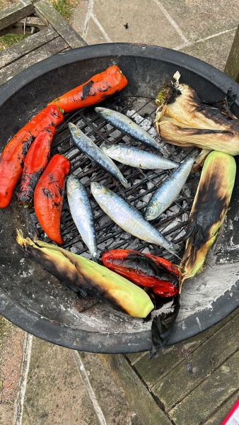 What’s the point of Barbecues? 