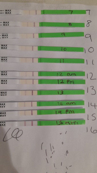 Bfp? Vvvf... line eyes help