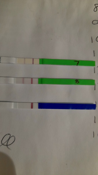 Bfp? Vvvf... line eyes help
