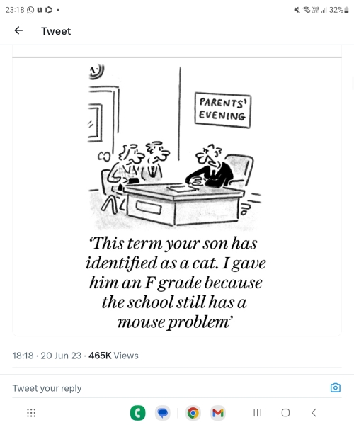 Heads should stop teachers allowing children to identify as cats, says No 10 