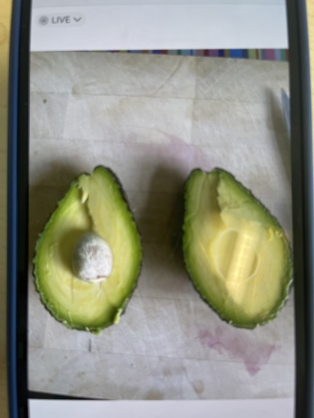 Avocado roulette anyone?! 🥑 