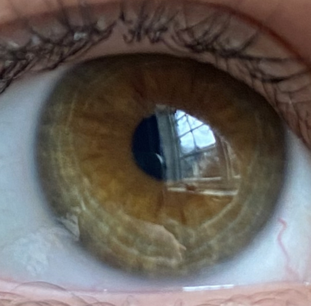 What colour would you say DD's eyes are?