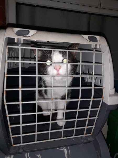 Should I reopen the happy place cafe?