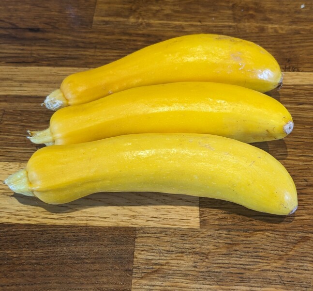 The Vegetable Patch Mark 2