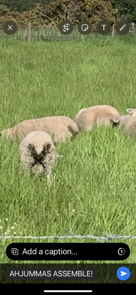 MsLatté’s Daebak Cybercafé (Kdrama addicts #41): A poorly anticipated placeholder thread to contain the Filthy Noonas’ ongoing musings on all things Korean, with Japanese and Chinese sprinkles