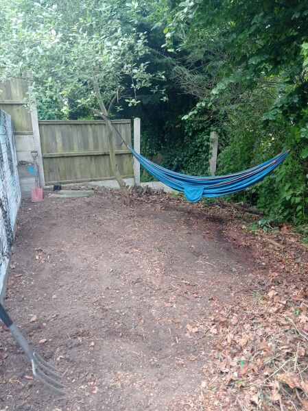 What would you do with this area of garden? (Pic)