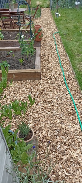 Advice on my garden please 