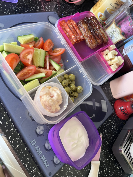 Summer 2023 Boot Camp, Week 1: Here we go!