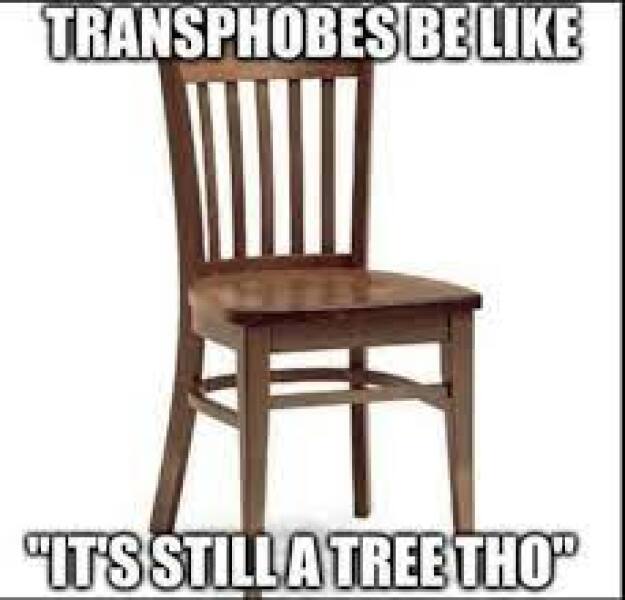 To think no teacher is affirming animal/moon/object genders