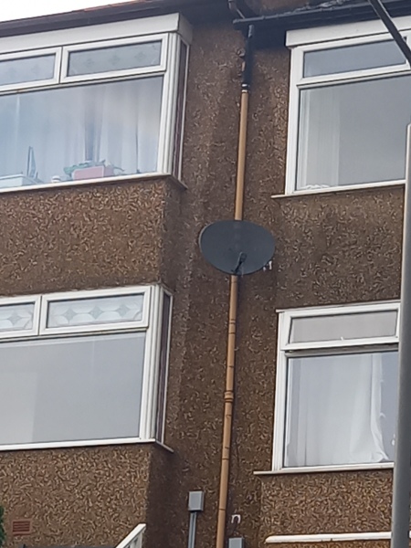 Is this a problem with gutter, downpipe or both?