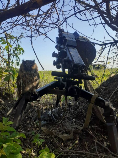 Ukraine Invasion: Part 41