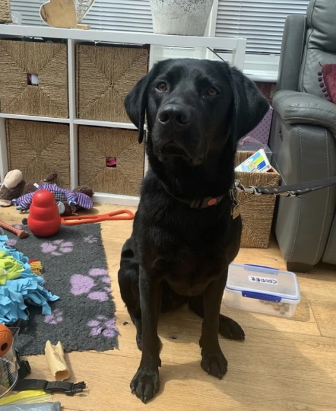 Royal Style and Beauty: Trooping forward - colour glitter and style but more tiaras may take a while..