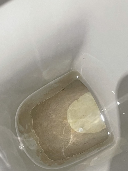 Tips on cleaning this toilet please (picture)