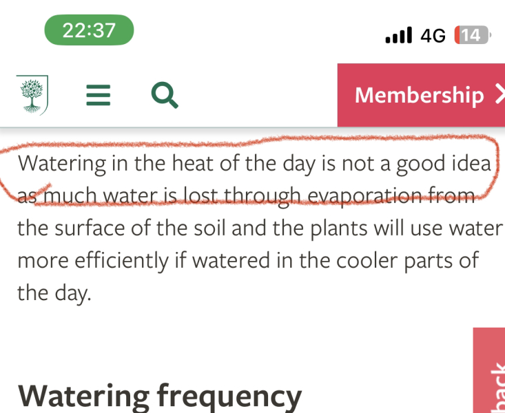 My neighbour is driving me mad!