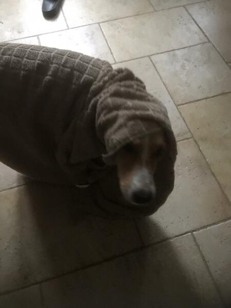 Royal Style and Beauty: Trooping forward - colour glitter and style but more tiaras may take a while..