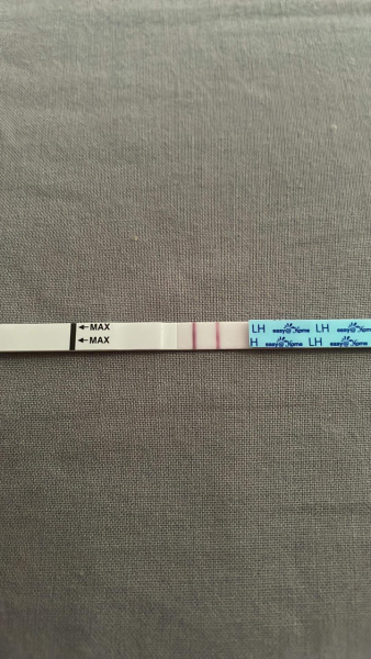 Easy@home OPK question