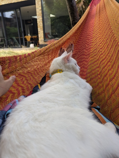 Summer 2023 Boot Camp, Week 1: Here we go!