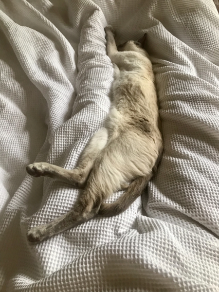 Summer 2023 Boot Camp, Week 1: Here we go!