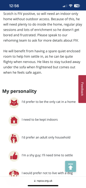 I want to adopt a cat from RSPCA but every cat I clicked on says no kids in household 