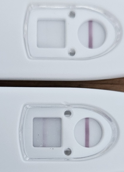 TTC May 2023 💖✨ previous MC March 2023