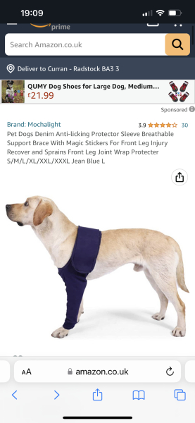 Terrified of 'cone of shame'. Other ideas?