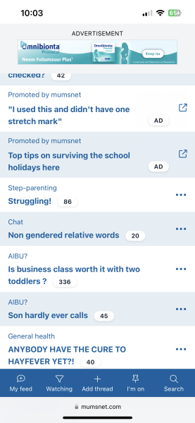 Can we turn the Mumsnet ads off??