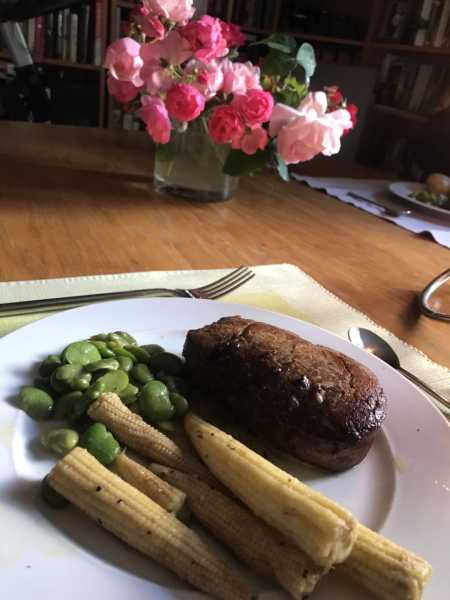 Summer 2023 Boot Camp, Week 1: Here we go!