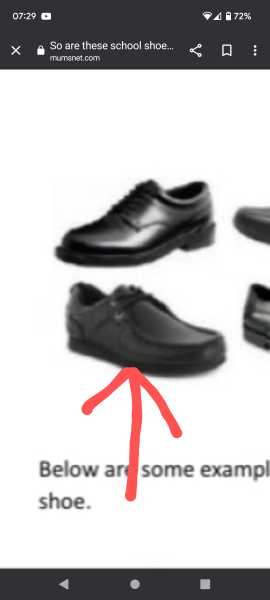 So are these school shoes or trainers 