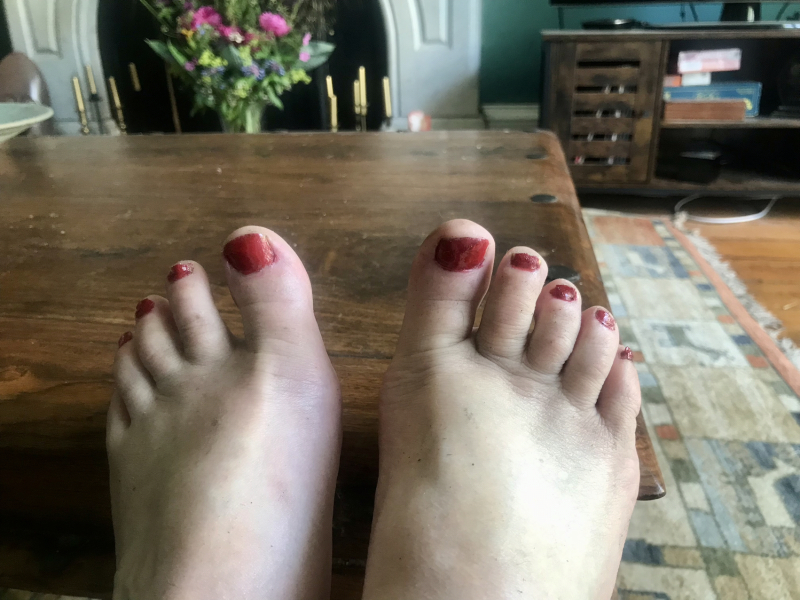 Summer 23 Boot Camp: the preparation thread