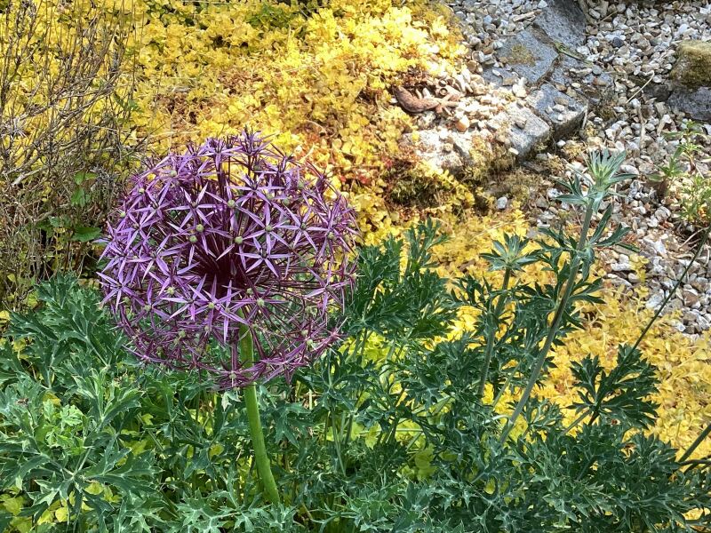 Thread 7 - TalkLair: “In fact it’s an oblate spheroid”