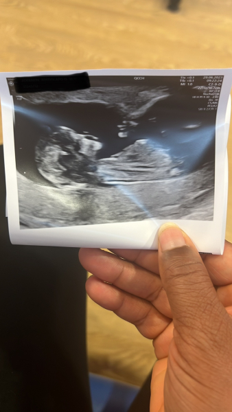 Due January 2024 🎉 PART 3