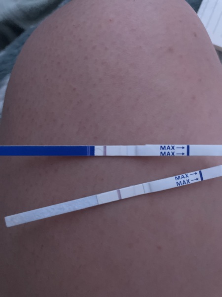 Positive 10wk post abortion or a new pregnancy? Bleeding 2 months