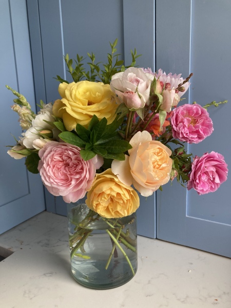 Rose Appreciation Thread
