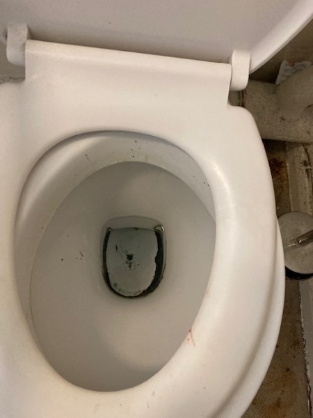 How do I clean this toilet please?
