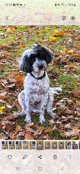 Summer 2023 BootCamp thread: Sign up thread