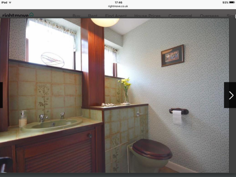 Owners of mid century houses, tell me about your lovely original features!