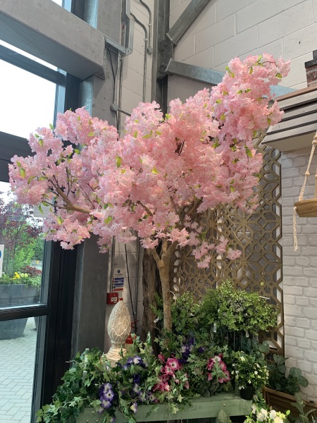 MsLatté’s Daebak Cybercafé (Kdrama addicts #41): A poorly anticipated placeholder thread to contain the Filthy Noonas’ ongoing musings on all things Korean, with Japanese and Chinese sprinkles