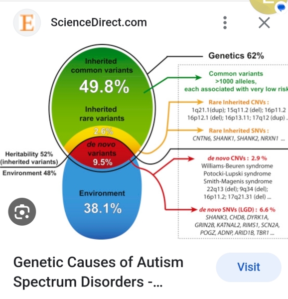ASD / Autism - What do you think caused it in your family?