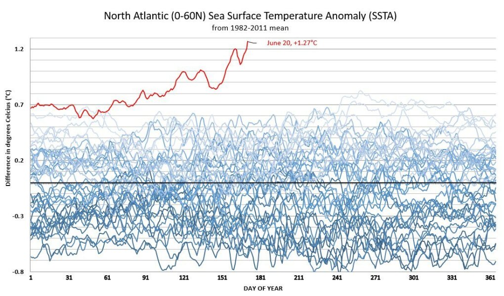 Record north atlantic sea temperature.
